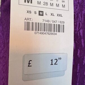 Zara Vibrant Purple Textured Skirt